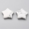 Natural Howlite Beads G-O196-07A-2