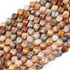 Natural Crazy Agate Beads Strands G-P611-C06-01-2