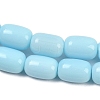 Opaque Glass Beads Strands GLAA-Z015-02E-3