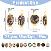 12Pcs 2 Styles Natural Abalone Shell/Paua Shell Copper Wire Wrapped Connector Charms PALLOY-AB00261-2