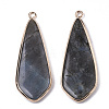 Natural Labradorite Pendants G-S359-108A-2