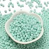 Baking Paint Pearlized Glass Seed Beads SEED-C001-04A-02-2