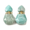 Natural Amazonite Perfume Bottle Pendants G-L623-12G-05-1