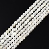 Natural White Shell Bead Strands SSHEL-N003-144A-01-1