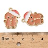 Alloy Enamel Pendants FIND-Z096-01G-01-3