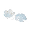 Acrylic Bead Caps OACR-H056-01H-2