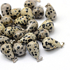 Teardrop Natural Dalmatian Jasper Pendants G-Q435-16-1