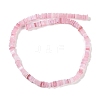 Handmade Lampwork Beads Strands LAMP-Q037-02B-03-2