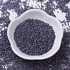 MIYUKI Delica Beads SEED-JP0008-DB0134-2