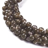 Natural Trochid Shell/Trochus Shell Beads Strands SSHEL-K027-01-2