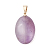 Natural Mixed Gemstome Pendants PALLOY-JF05083-3