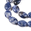 Natural Blue Spot Jasper Beads Strands G-M206-40-3