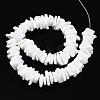 Natural White Shell Beads Strands SSHEL-S266-029-2