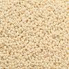 TOHO Round Seed Beads SEED-JPTR11-0123-2