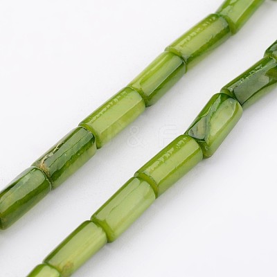 Natural Shell Bead Strands BSHE-P016-16-1