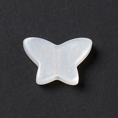 Natural White Shell Beads BSHE-G031-05-1