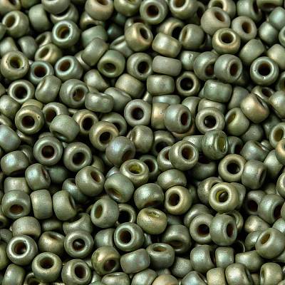 MIYUKI Round Rocailles Beads SEED-X0055-RR2033-1
