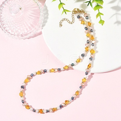 Natural Amber Beads & Cultured Freshwater Pearl Nuggets Beaded Necklaces NJEW-JN06406-1