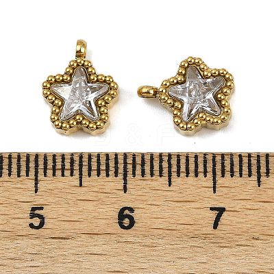 304 Stainless Steel Micro Pave Cubic Zirconia Charms LS-STAS-K302-01A-G-1