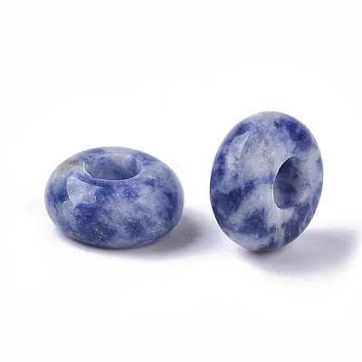 Natural Blue Spot Jasper European Beads X-G-Q503-09-1