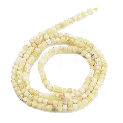 Natural Yellow Opal Beads Strands G-H042-B03-01-1
