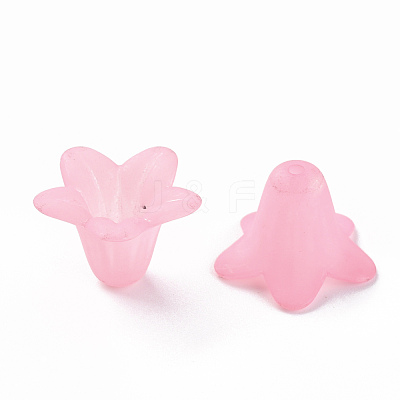 Transparent Acrylic Beads PLF018-02-1