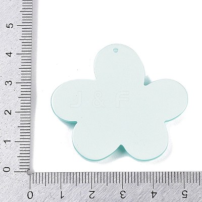 Acrylic Pendants OACR-Q100-14B-1