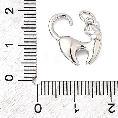 Brass Charms KK-I364-02P-05-1