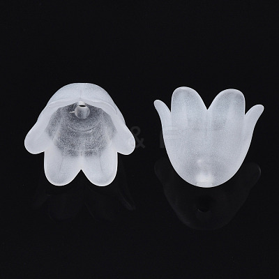 Transparent Acrylic Bead Caps FACR-N005-002-1