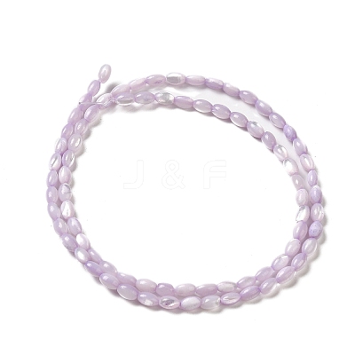 Natural Trochus Shell Beads Strands X-SHEL-K006-19B-1