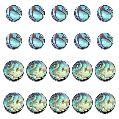 20Pcs 2 Styles Natural Abalone Shell/Paua Shell Beads Strands SSHEL-HY0001-10-1