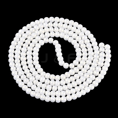 Baking Paint Glass Pearl Beads Strands LS-DGLA-ZX001-05B-01-1