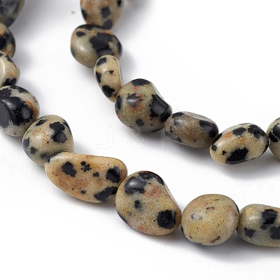 Natural Dalmatian Jasper Beads Strands G-B039-03B-1