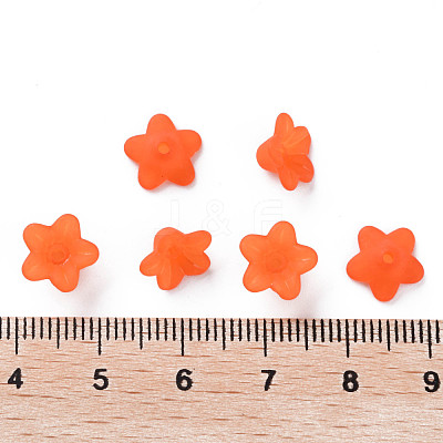 Transparent Acrylic Beads PL554-06-1