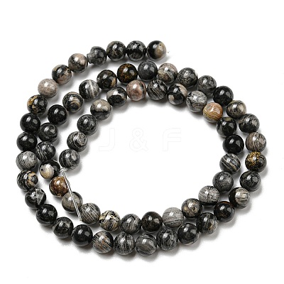 Natural Black Silver Leaf Jasper Beads Strands G-R494-A17-02-1