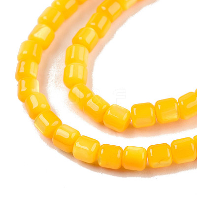 Natural Freshwater Shell Beads Strands SHEL-N003-33-A08-1