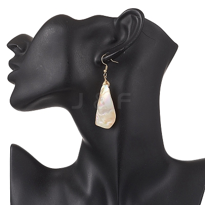 304 Stainless Steel Nuggets Dangle Earrings EJEW-JE06687-1