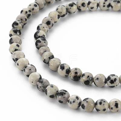 Natural Dalmatian Jasper Bead Strands G-R345-4mm-51-01-1