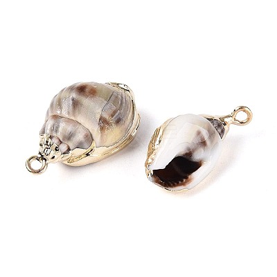 Electroplate Natural Sea Shell Pendants SSHEL-T017-44-1