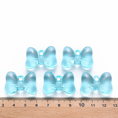 Transparent Acrylic Pendants TACR-T024-02BB-946-1