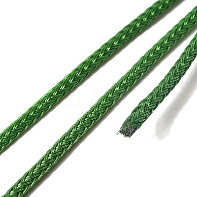 Braided Stainless Steel Cord STAS-D382-01G-1