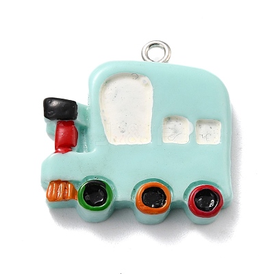 Resin Pendants RESI-F027-02-1