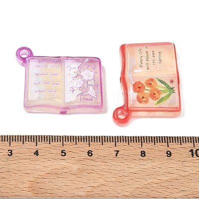 Double Face Transparent Printed Acrylic Pendants AC-CBA4EF4-04-1
