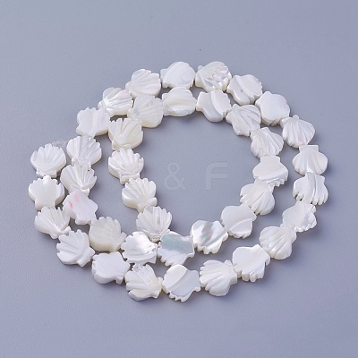 Shell Beads Strands SSHEL-E571-25-1