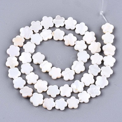 Natural Freshwater Shell Beads Strands X-SHEL-S276-111-1