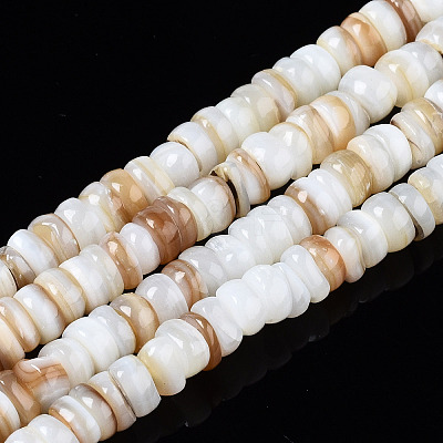 Natural Freshwater Shell Beads Strands X-SHEL-T018-28-1