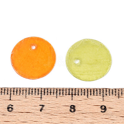 Spray Painted Natural Capiz Shell Disc Charms BSHE-T014-02M-1