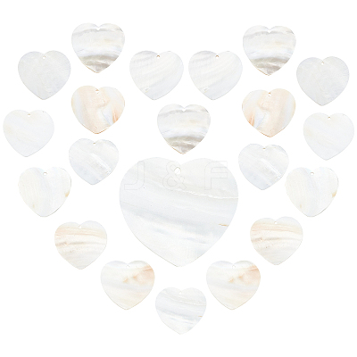 20Pcs Freshwater Shell Pendants SHEL-SC0001-19-1