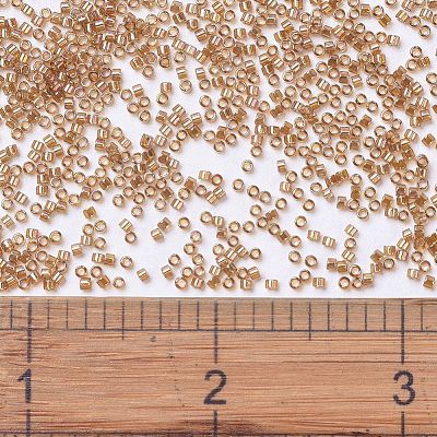 MIYUKI Delica Beads X-SEED-J020-DB1241-1