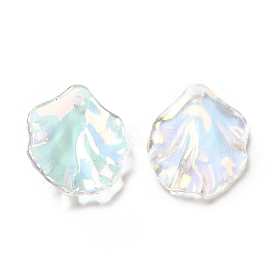 Transparent Acrylic Pendants X-MACR-C009-06-1